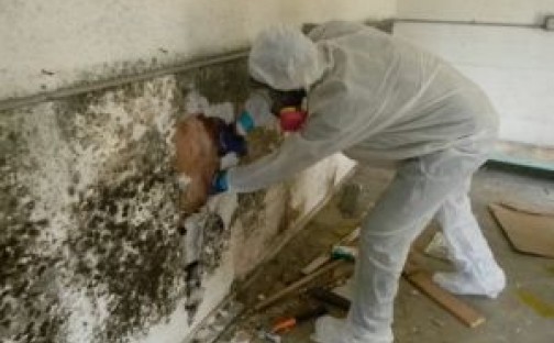 [BẬT MÍ] Cách chống thấm tường nhà cũ Triệt để 100% khi nhà xuống cấp